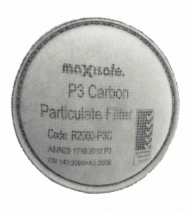 MAXIGUARD R 2000-P3 - P3 Filter (Pair)